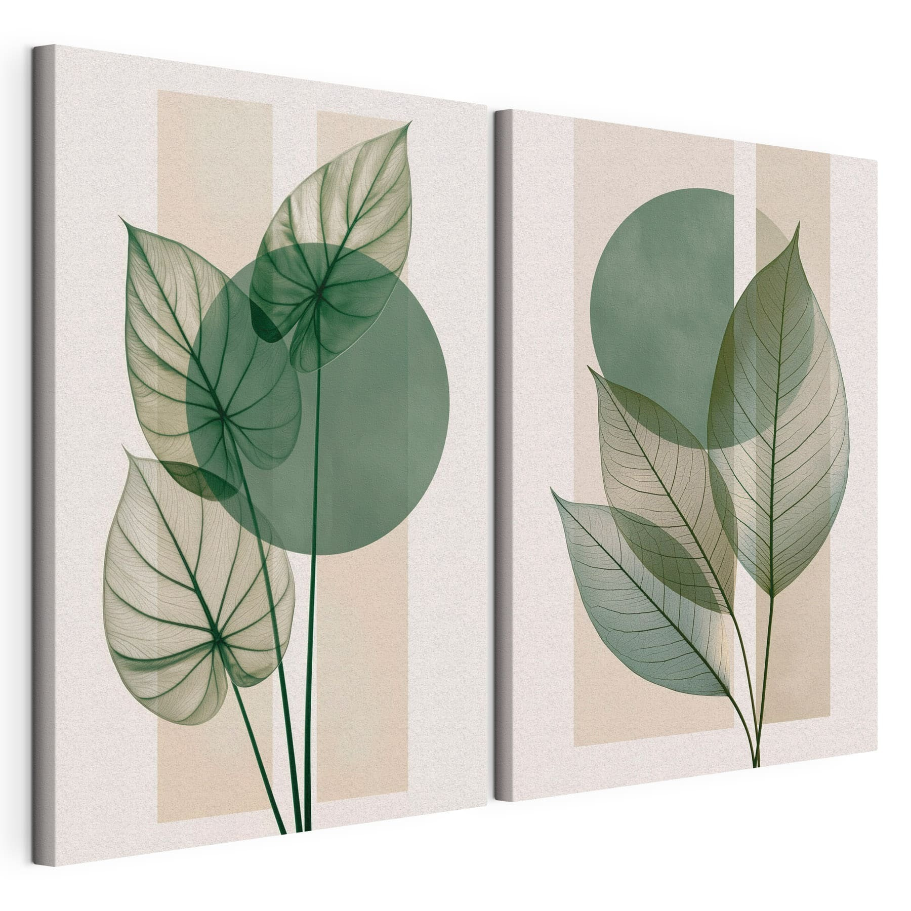 Elegant green leaves on soft background