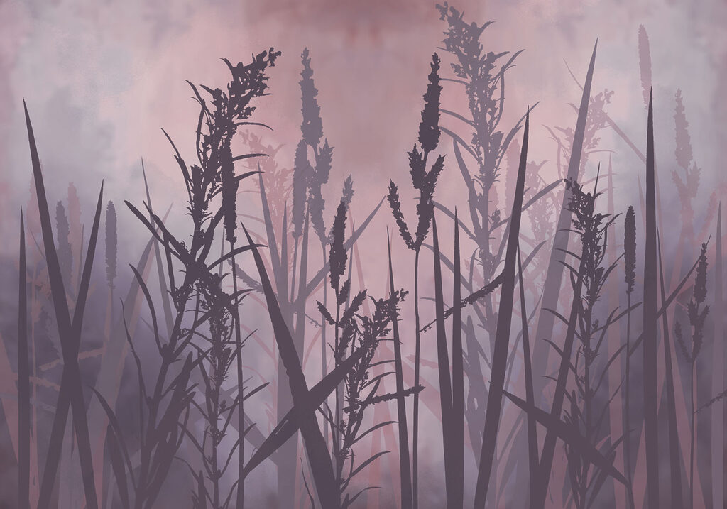Silhouette of tall grass