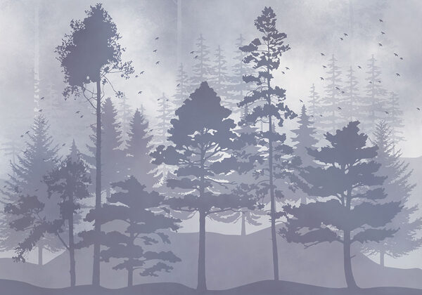 Group of trees in a foggy forest Group of trees in a foggy forest