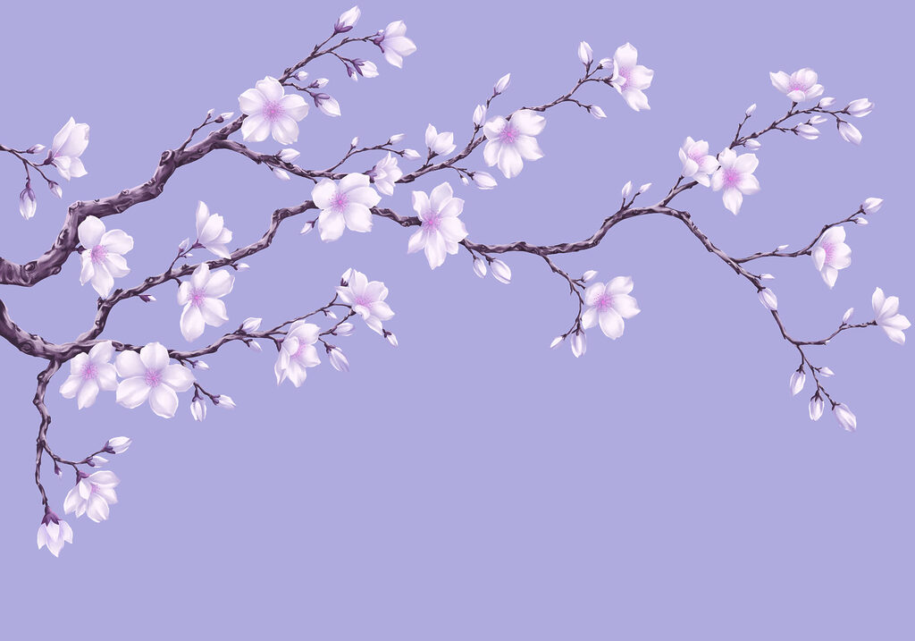 Fotobehang Tak met witte bloemen (Artikelnummer: t01044v2) Fotobehang Tak met witte bloemen (Artikelnummer: t01044v2)
