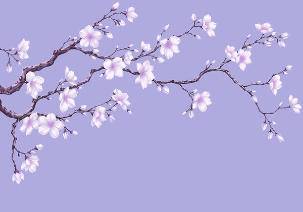 Fotobehang Tak met witte bloemen (Artikelnummer: t01044v2) Fotobehang Tak met witte bloemen (Artikelnummer: t01044v2)