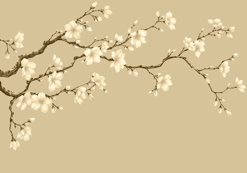 Fotobehang Tak met witte bloemen (Artikelnummer: t01044v3) Fotobehang Tak met witte bloemen (Artikelnummer: t01044v3)