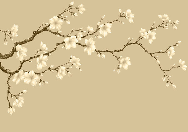 Fotobehang Tak met witte bloemen (Artikelnummer: t01044v3) Fotobehang Tak met witte bloemen (Artikelnummer: t01044v3)