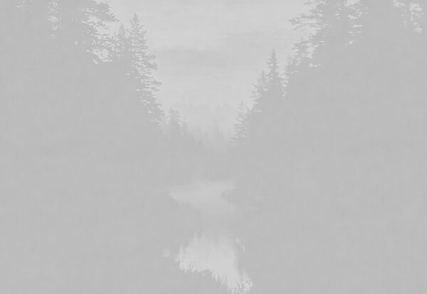 Fotobehang Grijswaardenfoto van een bos (Artikelnummer: t01078)