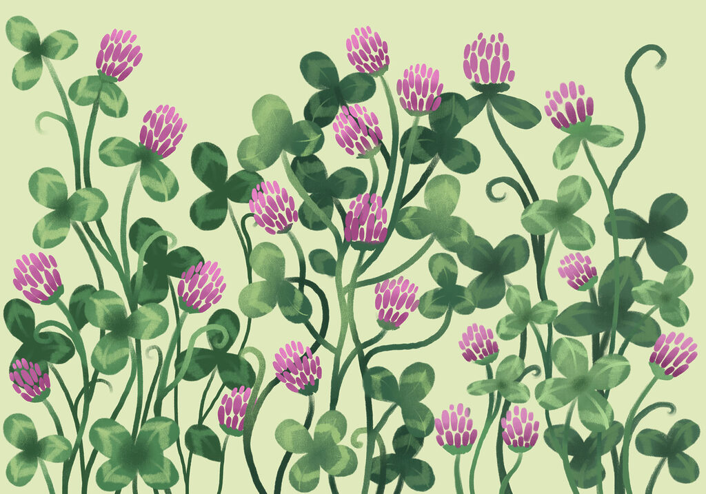Fotobehang - Kleurrijke bloemen te midden van weelderig groen (Artikelnummer: t01121) Fotobehang - Kleurrijke bloemen te midden van weelderig groen (Artikelnummer: t01121)
