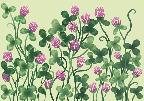 Fotobehang - Kleurrijke bloemen te midden van weelderig groen (Artikelnummer: t01121) Fotobehang - Kleurrijke bloemen te midden van weelderig groen (Artikelnummer: t01121)